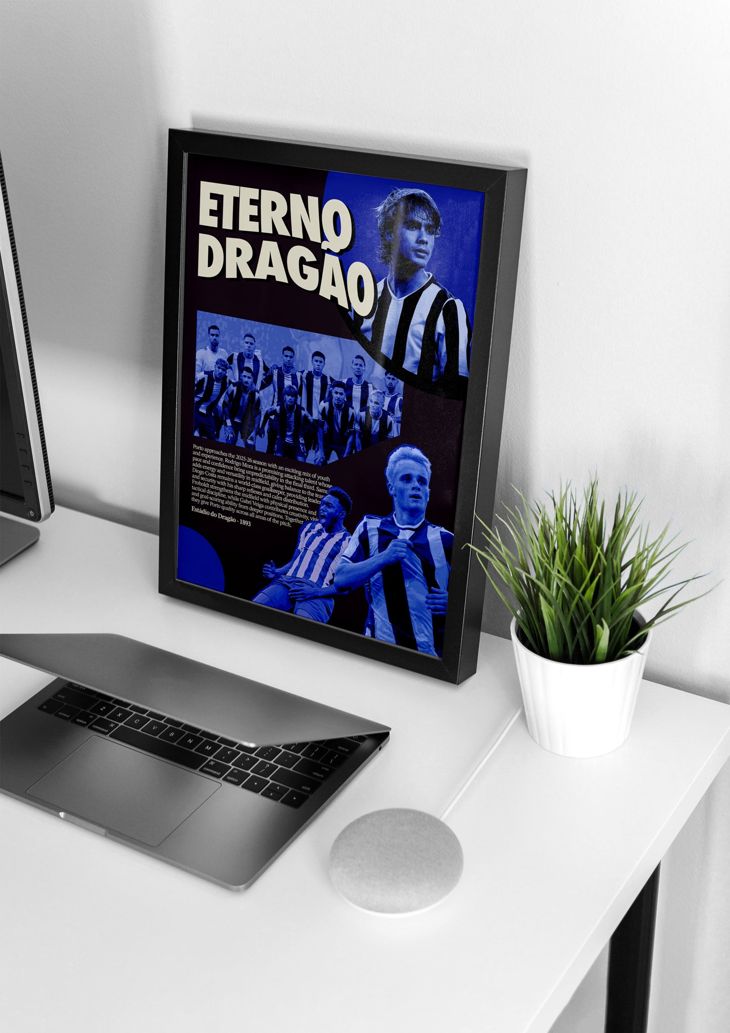 Eterno Dragão - Época 2025/26