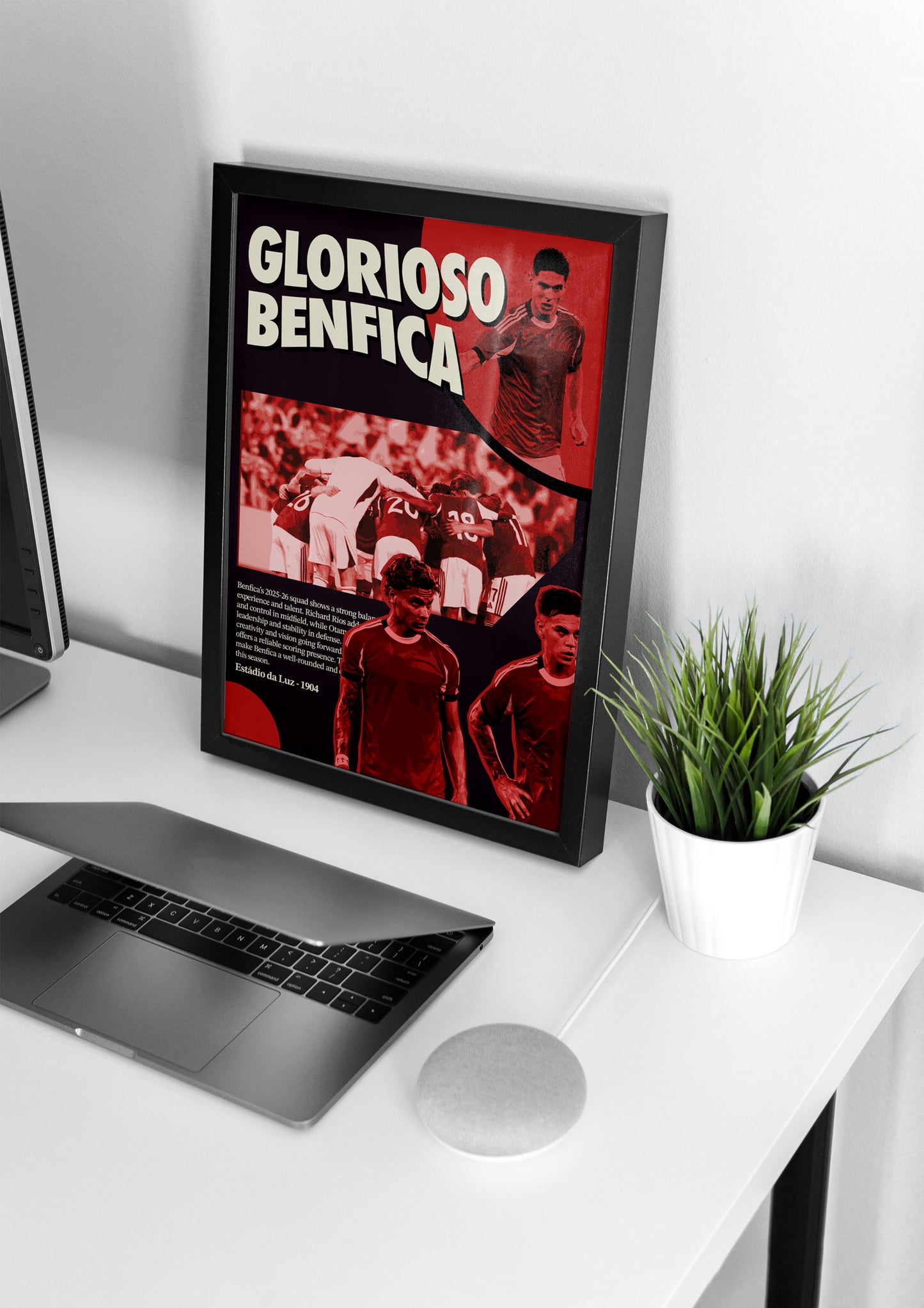Glorioso Benfica - Época 2025/26
