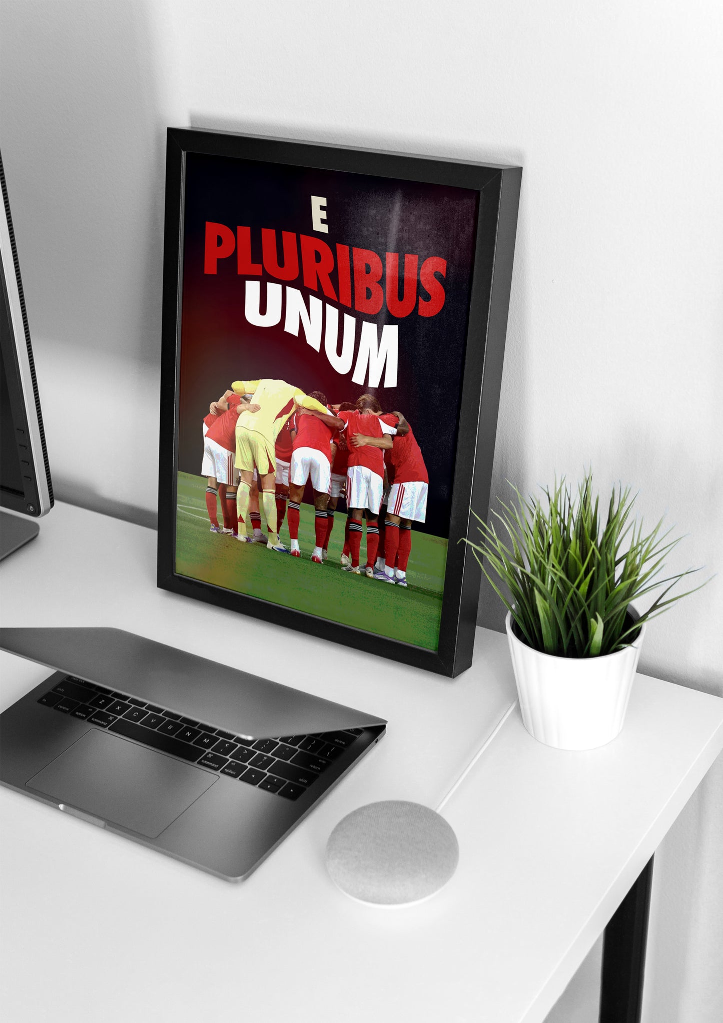 "E Pluribus Unum"