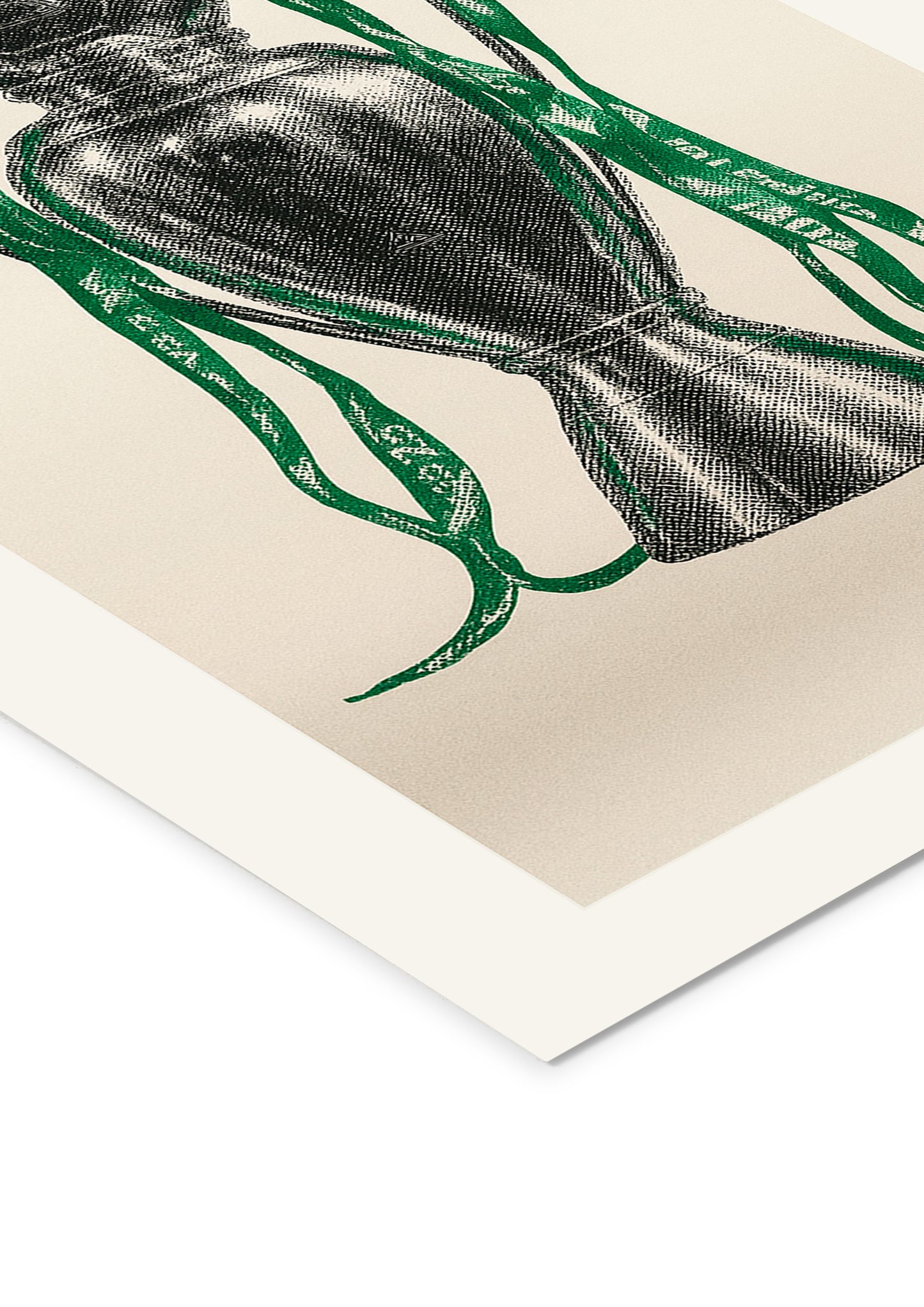 Troféu Campeão Nacional - Sporting CP