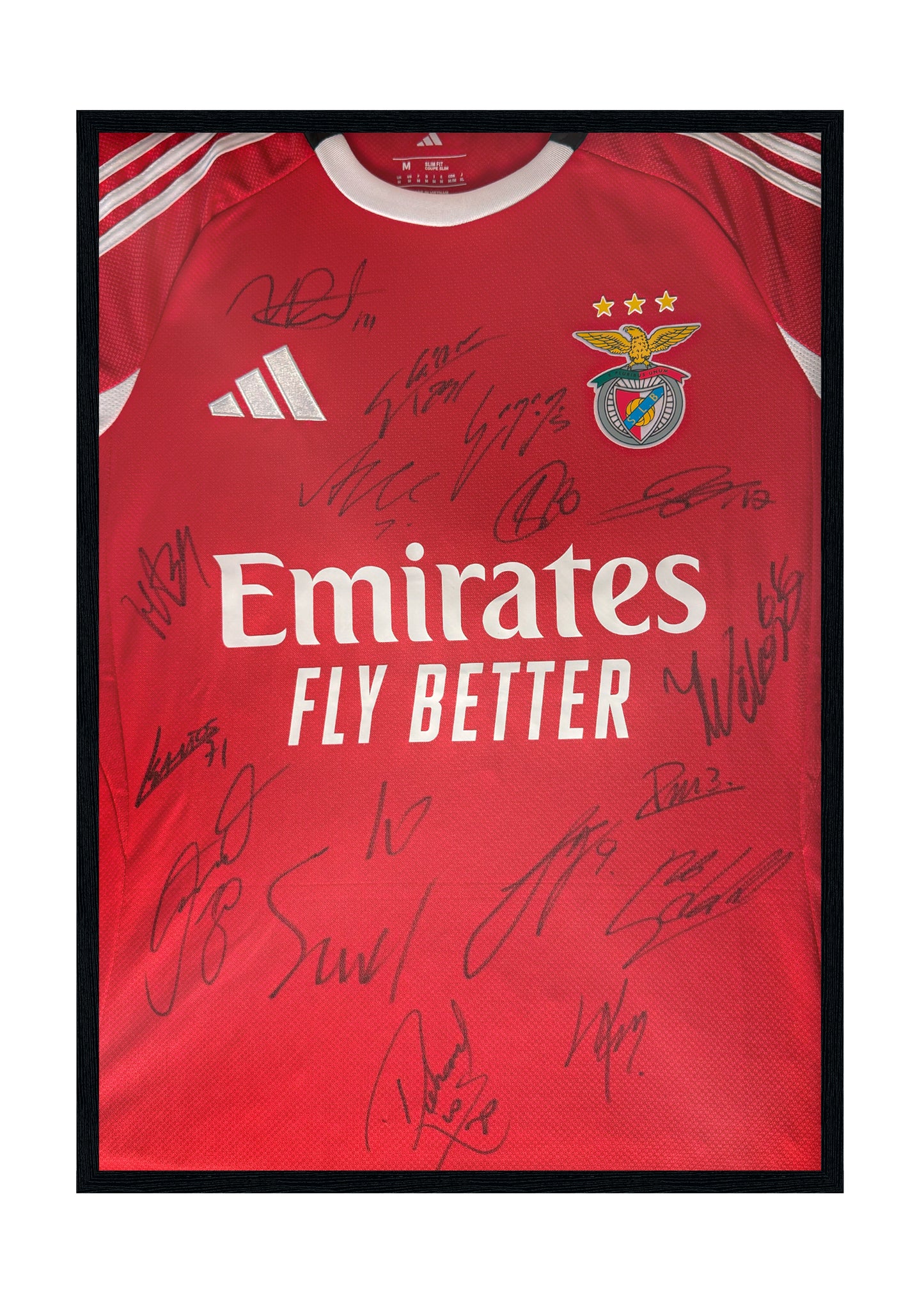Camisola assinada pelo plantel do SL Benfica 25/26