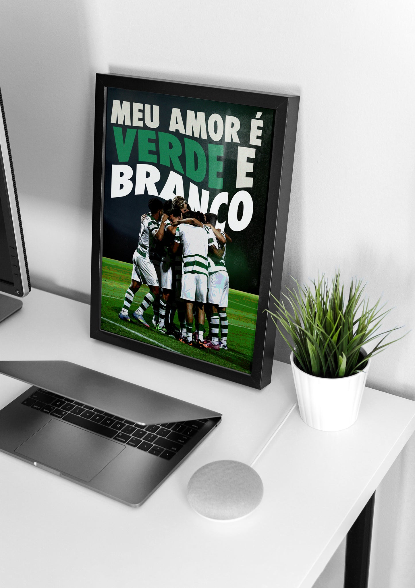 "Meu amor é Verde e Branco"